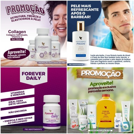 forever-living-e-com-o-especialista-revenda-ou-consumo-faca-seu-cadastro-big-1