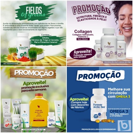 forever-living-e-com-o-especialista-revenda-ou-consumo-faca-seu-cadastro-big-2