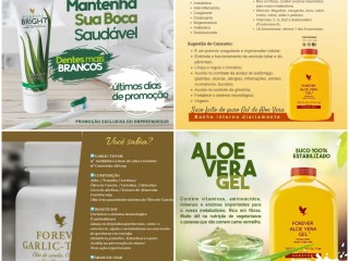 seja-um-cliente-preferencial-ou-revendedor-forever-living-fale-com-o-representante