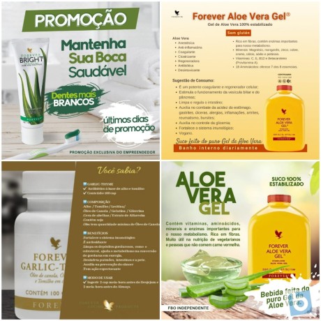 seja-um-cliente-preferencial-ou-revendedor-forever-living-fale-com-o-representante-big-0