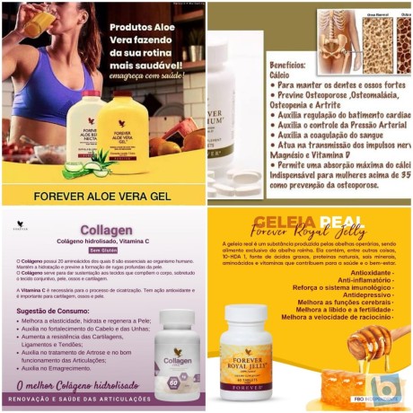 forever-living-seja-representante-na-sua-regiao-consulte-nos-big-1