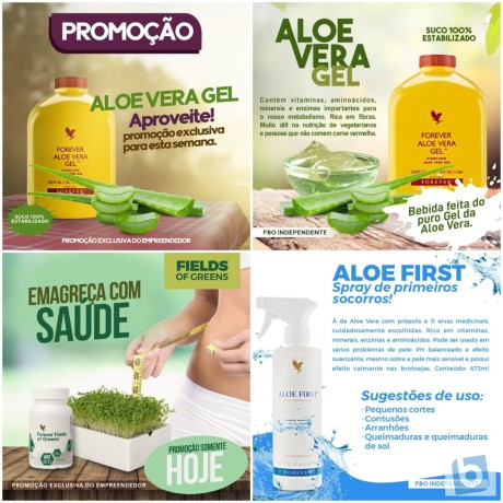 forever-living-seja-representante-na-sua-regiao-consulte-nos-big-2