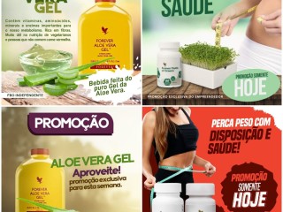 seja-parceiro-dos-produtos-forever-living-na-sua-cidade