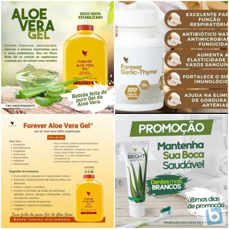 seja-um-representante-dos-produtos-forever-living-na-sua-cidade-consulte-nos-big-1