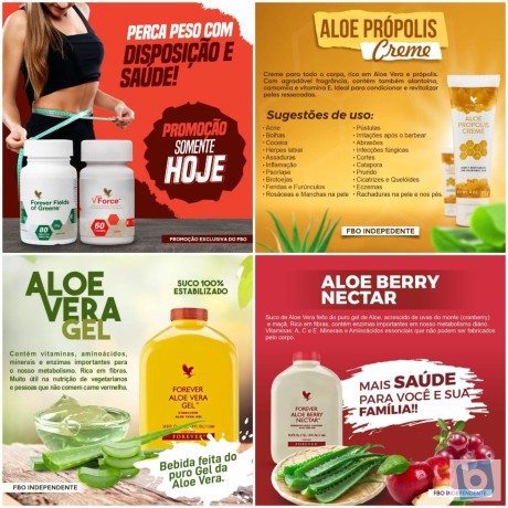 seja-um-representante-dos-produtos-forever-living-na-sua-cidade-consulte-nos-big-2