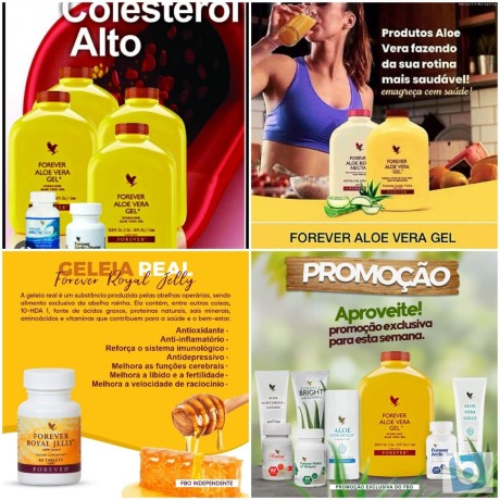 forever-living-revenda-ou-consumo-faca-seu-cadastro-big-2