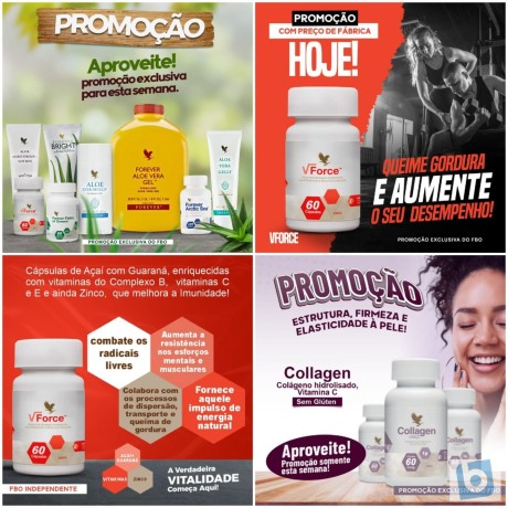 forever-living-revenda-ou-consumo-faca-seu-cadastro-big-1