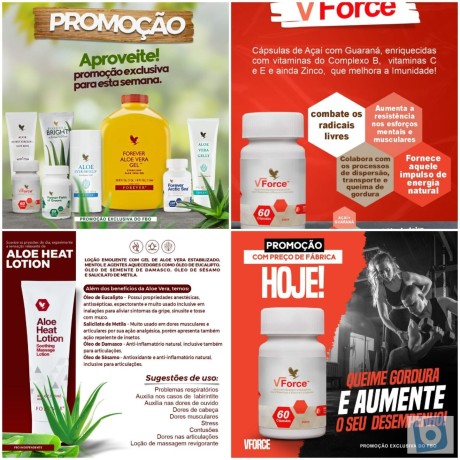 forever-living-revenda-ou-consumo-faca-seu-cadastro-e-compre-com-desconto-direto-do-fabricante-big-0