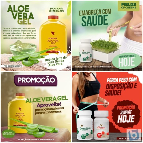 forever-living-cuide-da-saude-com-produtos-naturais-direto-do-fabricante-big-1