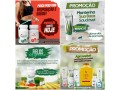 forever-living-aumente-sua-imunidade-com-produtos-naturais-small-2