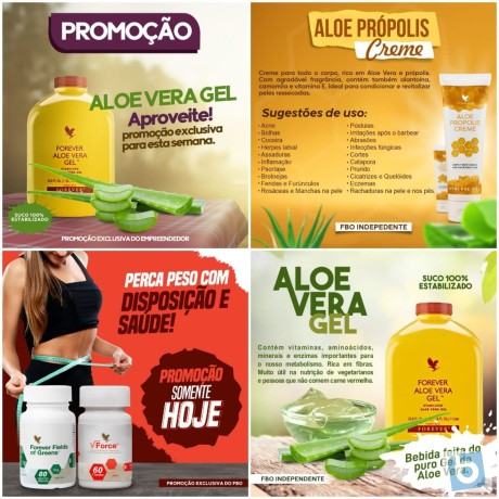 forever-living-cuide-da-saude-com-produtos-naturais-direto-do-fabricante-big-1