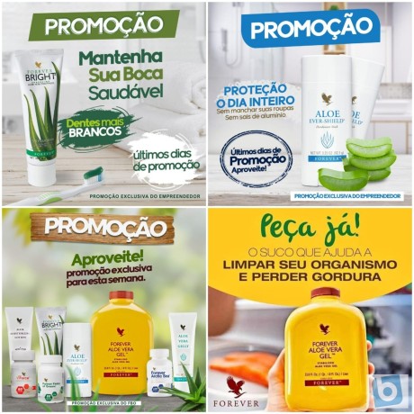 forever-living-saude-e-boa-forma-com-produtos-naturais-big-2