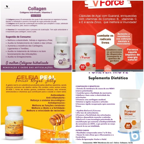 forever-living-saude-e-boa-forma-com-produtos-naturais-big-1