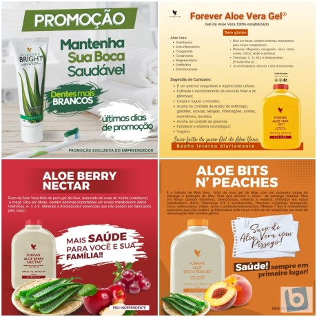 forever-living-cuide-da-saude-com-produtos-naturais-direto-do-fabricante-big-0