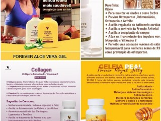 forever-living-seja-distribuidor-dos-produtos-na-sua-regiao-consulte-nos