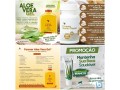 forever-living-saude-e-boa-forma-com-produtos-naturais-small-1