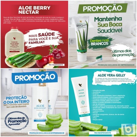 forever-living-revenda-ou-consumo-faca-seu-cadastro-e-compre-com-desconto-direto-do-fabricante-big-2