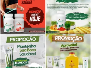 forever-living-seja-distribuidor-dos-produtos-na-sua-regiao-consulte-nos