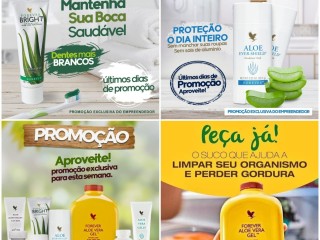 forever-living-revenda-ou-consumo-faca-seu-cadastro-e-compre-com-desconto-direto-do-fabricante