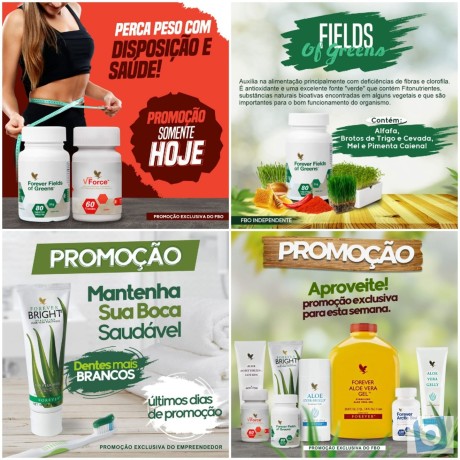 forever-living-compre-produtos-originais-com-desconto-direto-do-fabricante-big-2