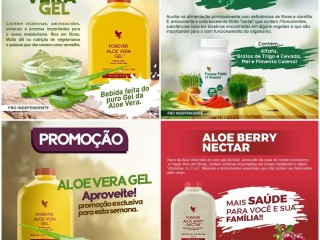 forever-living-aumente-sua-imunidade-com-produtos-naturais