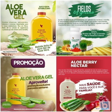 forever-living-aumente-sua-imunidade-com-produtos-naturais-big-0