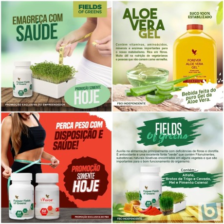 forever-living-aumente-sua-imunidade-com-produtos-naturais-big-1