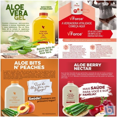 forever-living-aumente-sua-imunidade-com-produtos-naturais-big-2