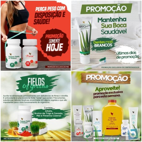 forever-living-cuide-da-saude-com-produtos-naturais-direto-do-fabricante-big-2