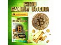 como-ganar-bitcoins-freebitcoin-small-0