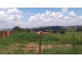 terreno-em-bonfim-mg-1700m2-small-3